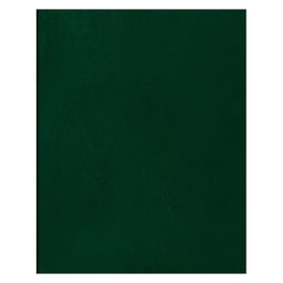 Тетрадь 80л. А4 бумвинил, клетка (Т4бв80к_12324, BG) зеленый