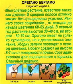 Орегано Бергамо 0,05г (Аэлита)