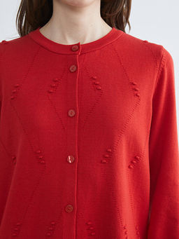 Bisiklet Yaka Kad?n Triko H?rka