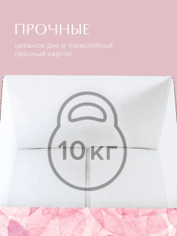 VAL OF-BC-2Rmono Коробка-органайзер для хранения, 30*23*20 см, набор 2 шт., моно, OPUS ROMANO FLORA, шт - Valiant фото 51