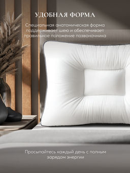 Подушка "QUADRO DeLux 3000 3D", 50х70, ЕС-4271