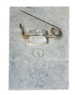 Значок Общество охраны памятников истории и культуры РСФСР