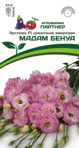 Эустома срезочная махровая бело-розовая Мадам Бенуа