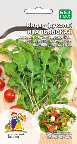 Салат РУККОЛА (ИНДАУ РАКЕТ) ИТАЛЬЯНСКАЯ  Ароматная, холодостойкая, очень полезная культура! Хороша для салатов!
