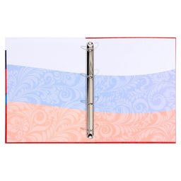 Папка школьная на кольцах «Портфолио российского школьника», без разделителей, 24.5×32 см