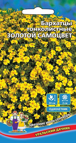 Бархатцы ЗОЛОТОЙ САМОЦВЕТ тонколистные