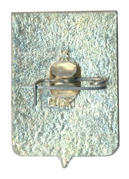 Значок Лодейное поле