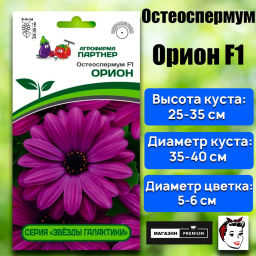 Остеоспермум Эклона Звезды Галактики Орион - Партнер фото 2