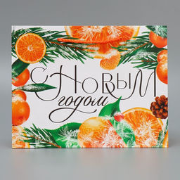 Пакет ламинированный горизонтальный Цитрусовый коктель, MS 23 18 8 см - Доступные радости фото 4