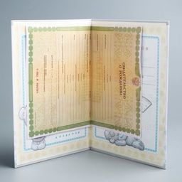 Свидетельство о рождении с файлом, новый формат свидетельства, Me To You, А5  фото 9