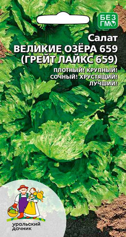 Салат ВЕЛИКИЕ ОЗЁРА  Формирует плотные, сладко-маслянистые, хрустящие кочаны! Американский сорт, давно полюбившийся садоводам России!