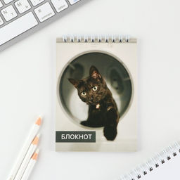 Цена за 8 шт. МИКС блокнотов А6, 40 л на гребне, мягкая обложка Животные - Artfox фото 13