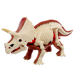 Набор для опытов Диномир: Трицератопс, строение тела динозавра, 33 детали - Эврики фото 7