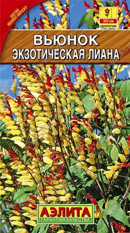 Вьюнок Экзотическая лиана
