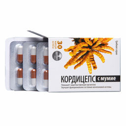 Бад Грибная серия "Кордицепс с мумиё" Алфит Плюс 1898