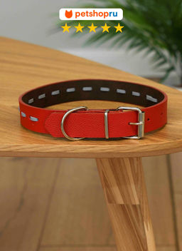 ВВА Ошейник для собак с декоративной строчкой, 2,5 см, экокожа, цвет в ассортименте PS187