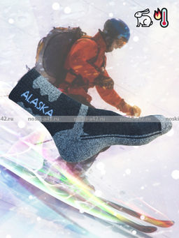 Цена за 3 пар. 3 ПАРЫ - "АЛЯСКА" Термоноски зимние спортивные ВНУТРИ МАХРА мужские арт.1268 41-47 (фактически 40-44)