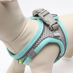 Комплект с мягкой шлейкой, размер XXS, поводок 150 х 1,5 см, ОГ 28-30 см, ОШ 24-26 см, бирюз - Пижон фото 4