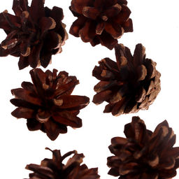 Новогодний декор «Снежинки»