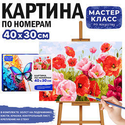 Картина по номерам MKR4030-40 "Маки в поле" 30х40 см.