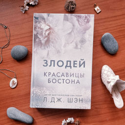 Красавицы Бостона. Злодей (#2)