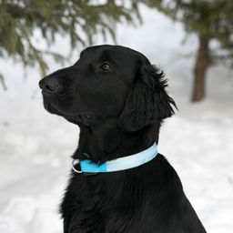 Ошейник с подсветкой Двойная полоса размер S, ОШ 35-43 х 2,5 см, 3 режима свечения голубой - Пижон фото 3