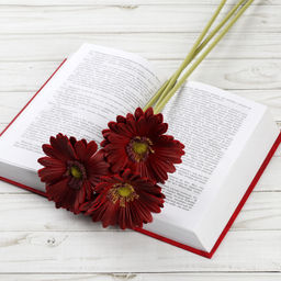 Цветок искусственный Гербера 43 см бордовый / 1501 /уп 56/560/ латэкс - ГалеонТрейд фото 5