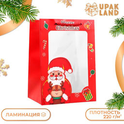 Цена за 2 шт. Пакет подарочный новогодний ламинированный, с окном«Дед мороз», 18×25×13 см