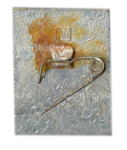 Значок Общество охраны памятников истории и культуры РСФСР