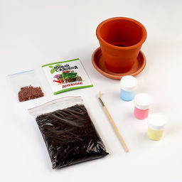 Набор для опытов «Юный садовод: Вырасти редис»