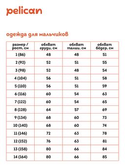 Pelican BFT3320/5 футболка для мальчиков  фото 6