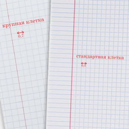 Цена за 200 шт. Тетрадь 12 листов в крупную клетку «Зелёная обложка», эконом, плотность обложки 60 г/м²