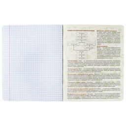 Набор предметных тетрадей 48 листов, Calligrata TOP «Абстракция», 10 предметов