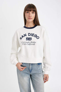 Толстая повседневная толстовка с принтом свободного кроя и круглым вырезом - Defacto фото 3