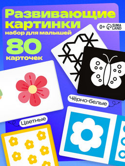 Развивающий набор Мои первые картинки, 80 карточек, 0+