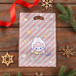 Цена за 50 шт. Пакет подарочный Zip-lock, «Корейский стиль», 15.5×22+3.5 см МИКС