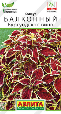 1500A Колеус балконный Бургундское вино 5шт