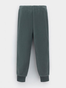 ФЛ 40006-1/10 ГР брюки дет