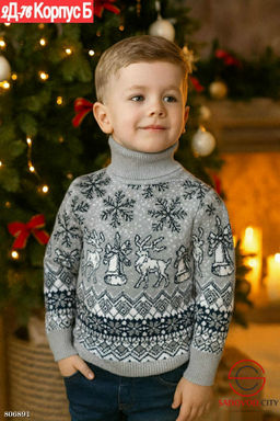 водолазки для мальчика с рисунком - Bruno фото 2