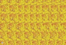 Стереокартинки. Тренируем зрение со стереокартинками - Робинс фото 3