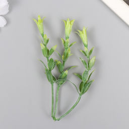 Искусственное растение для творчества «Гиппеастриум», набор 6 шт., светло-зелёный, 11 см