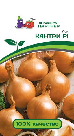 Лук репчатый Кантри