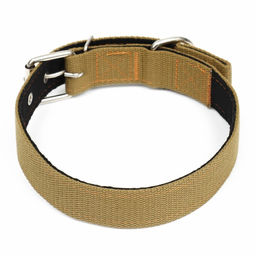 Ошейник брезентовый с подкладом, 72 х 3,5 см, песочный - Пижон фото 2
