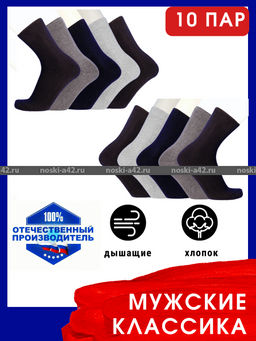 Цена за 10 пар. Легион носки мужские АССОРТИ 27