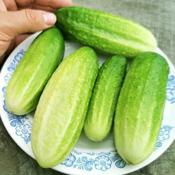 Огурцы Старые Немецкие - Дом помидоров фото 2