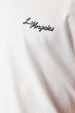 Ekru Oversize/Genis Kesim Bask?l? Renk Bloklu %100 Pamuklu T-Shirt TMNSS24TS00103