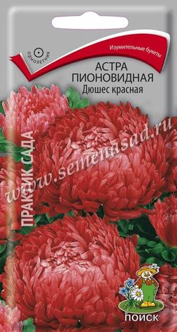 Астра (однолетняя) пионовидная Дюшес красная (ЦВ) (1) 0,3гр.