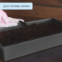 Цена за 3 шт. Ящик для рассады, 50×20×10 см, 6 л, пластик, цвет МИКС, «Урожай-3 м»