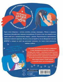 Про котят, котов и кошек