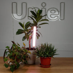 ULT-P39-6W/SPLE IP40 WHITE Светильник для растений светодиодный, высота 320мм, на колышке. Спектр для фотосинтеза. TM Uniel